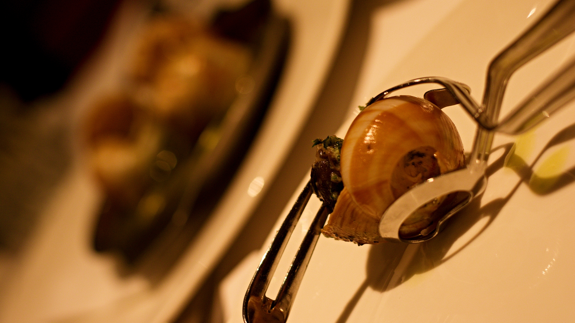 Šneci ve varšavské restauraci Brasseria Warszawska