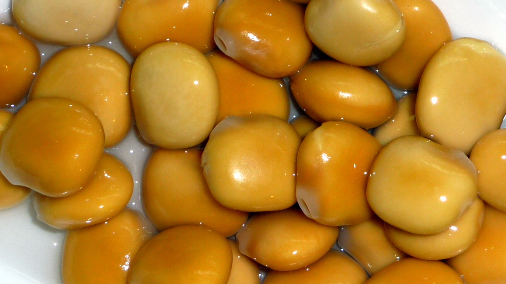 Zrna lupiny bílé