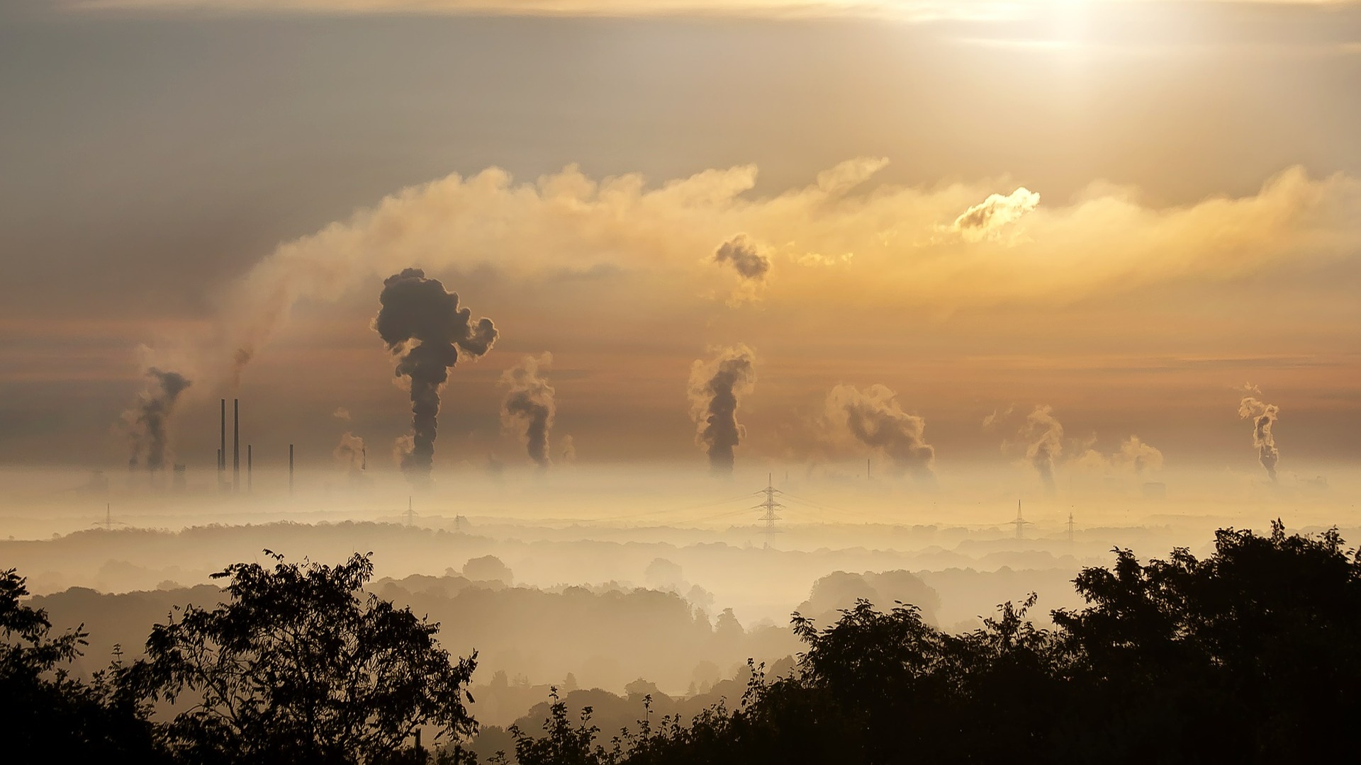 Smog zabíjí
