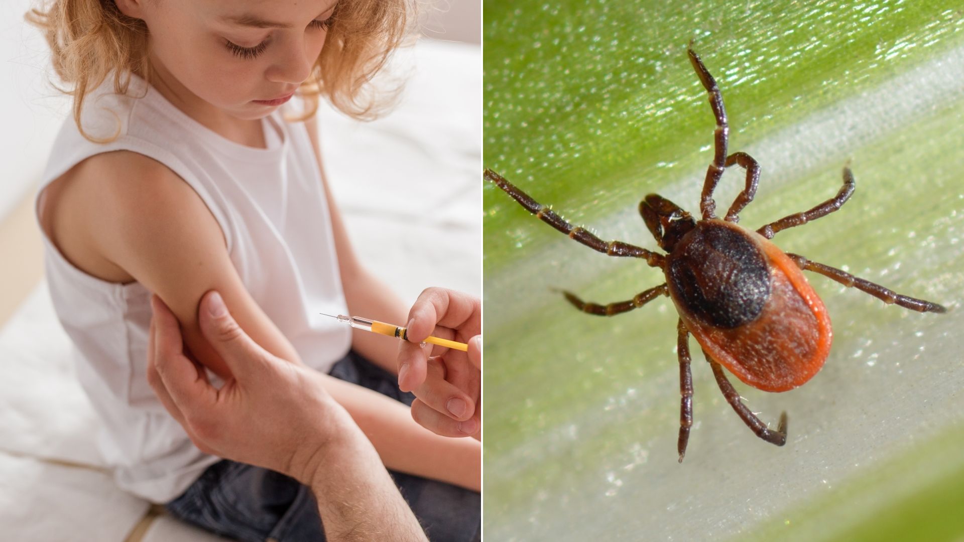 Očkování proti klíšťové encefalitidě rozhodně není od věci.