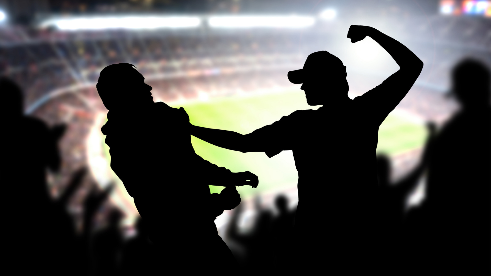 Násilí se netýká pouze stadionů, nýbrž i domácností.
