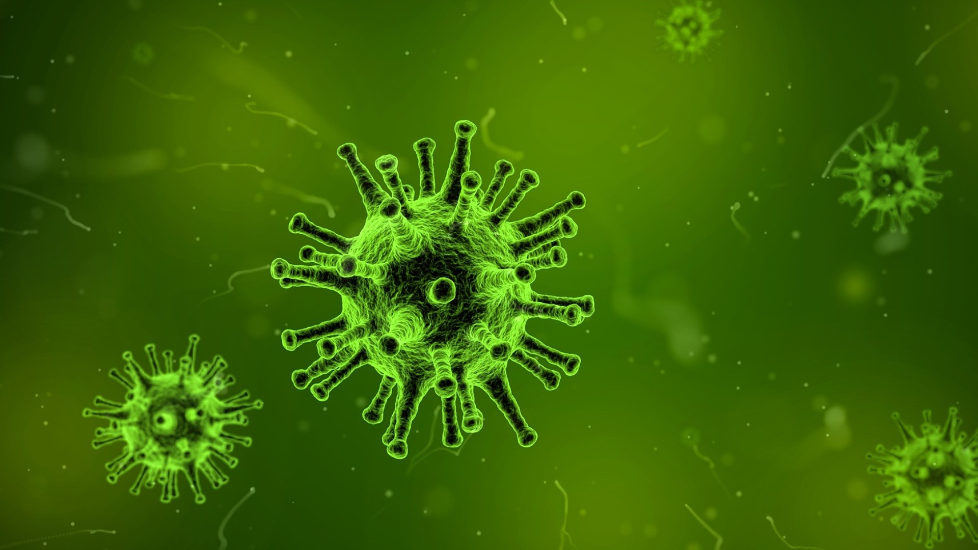 Virus - ilustrační foto
