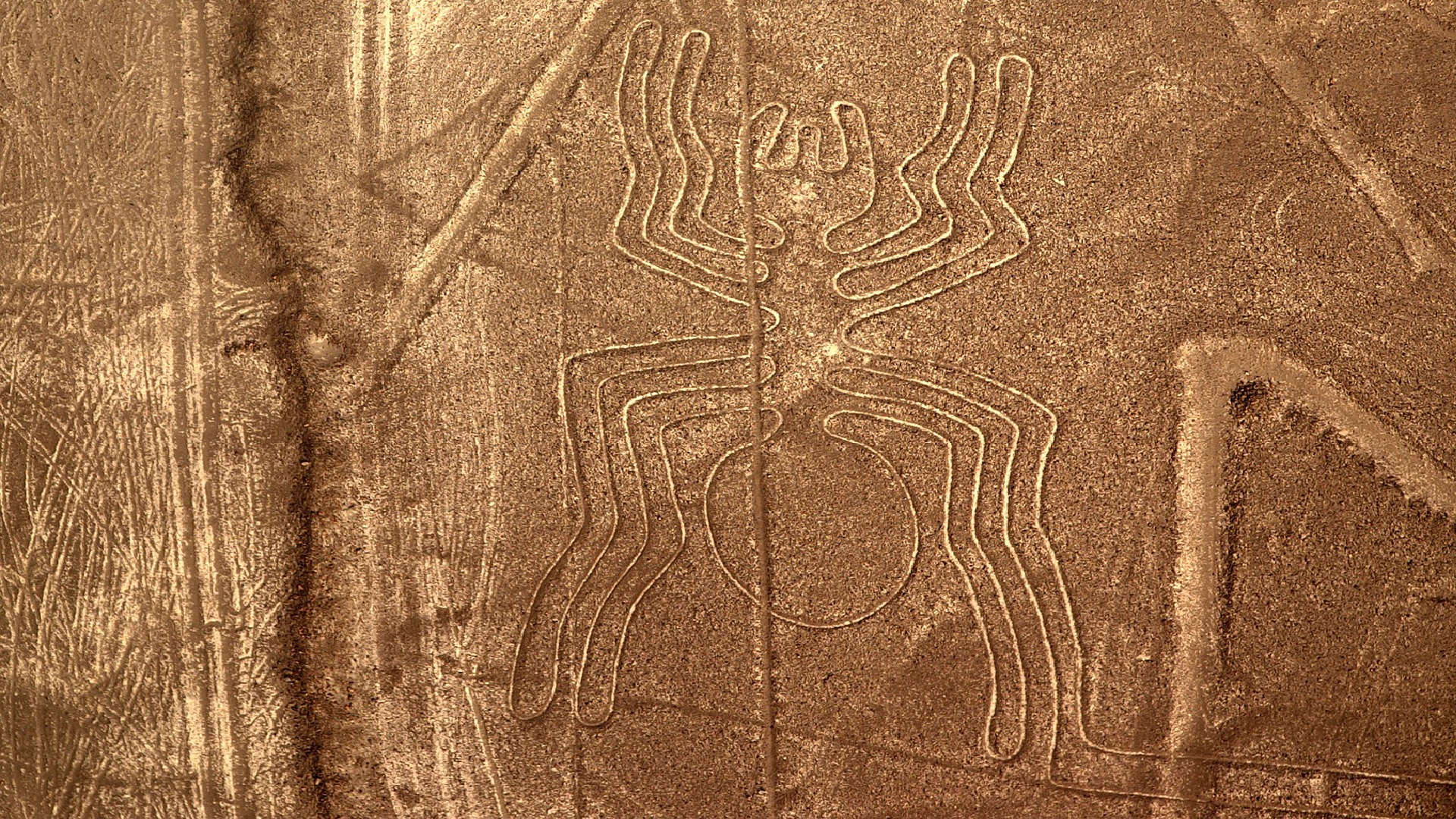 Pavouk na planině Nazca