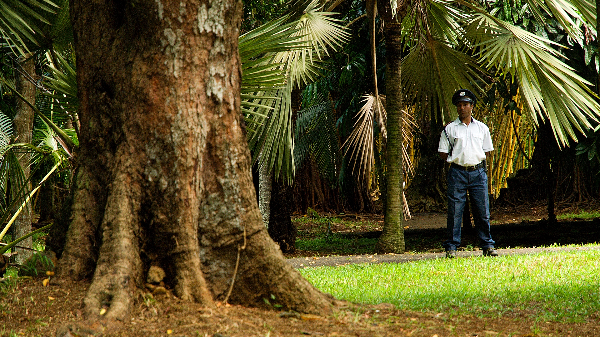 Park na Mauriciu