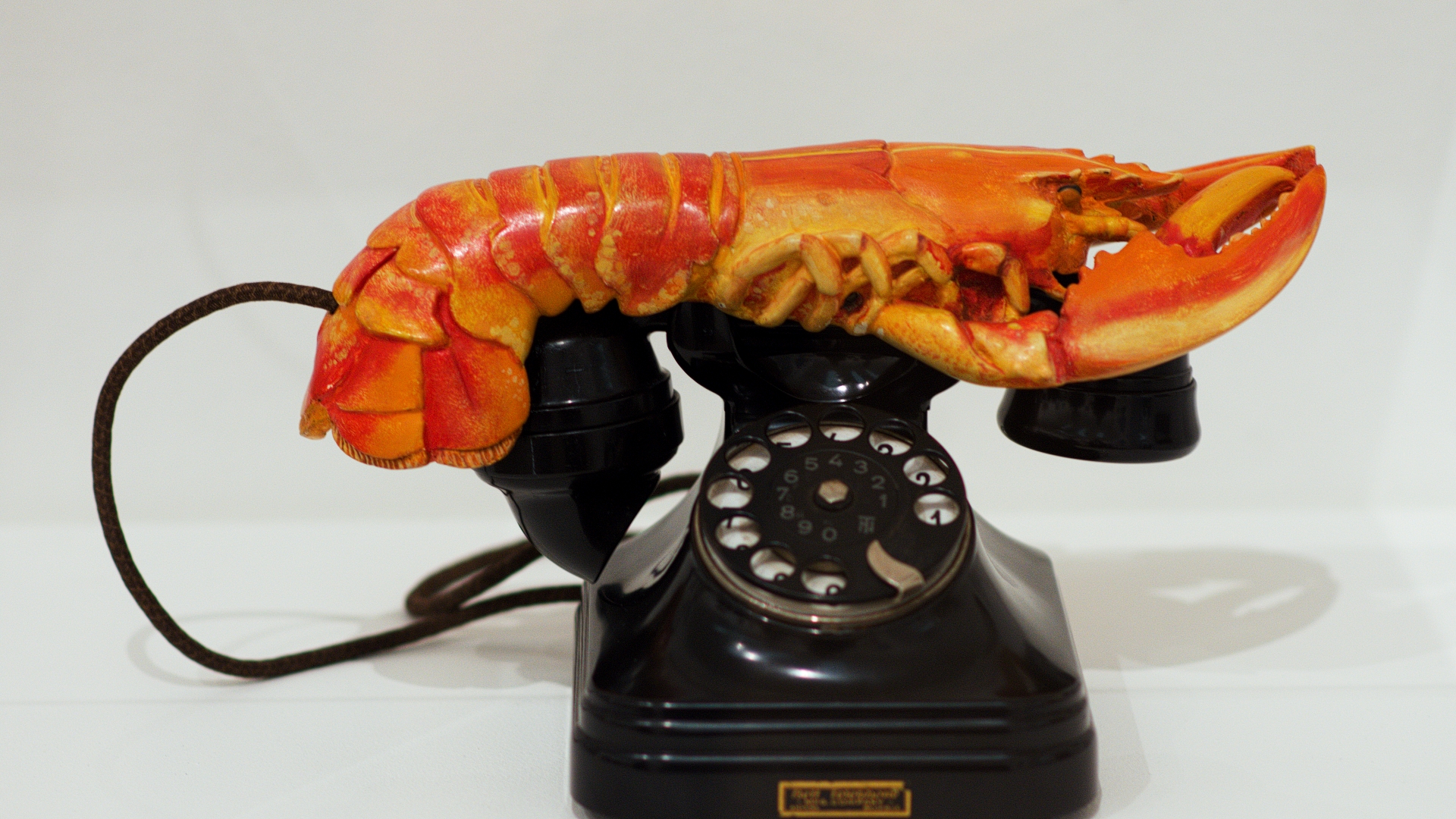 Telefon z dílny Salvadora Dalího vystavený v Tate Gallery v Londýně