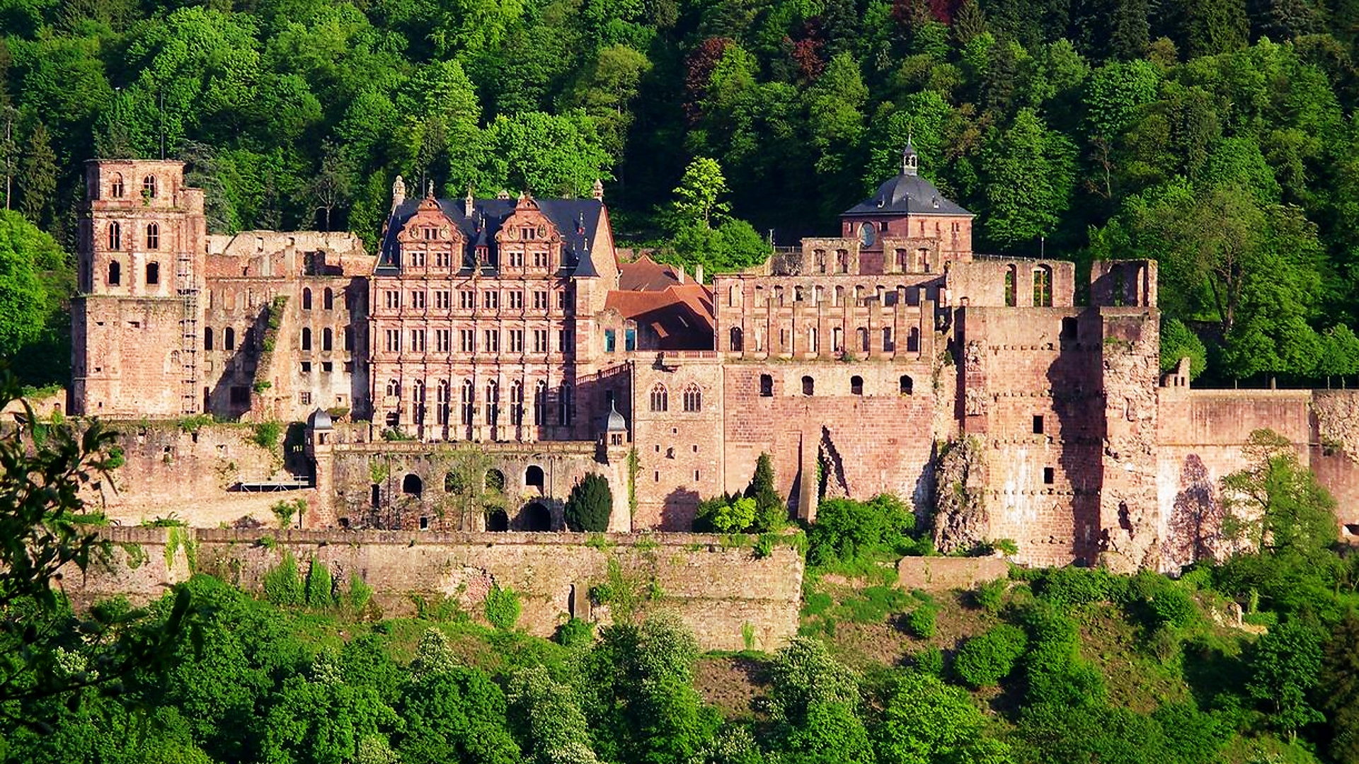 Hrad Heidelberg