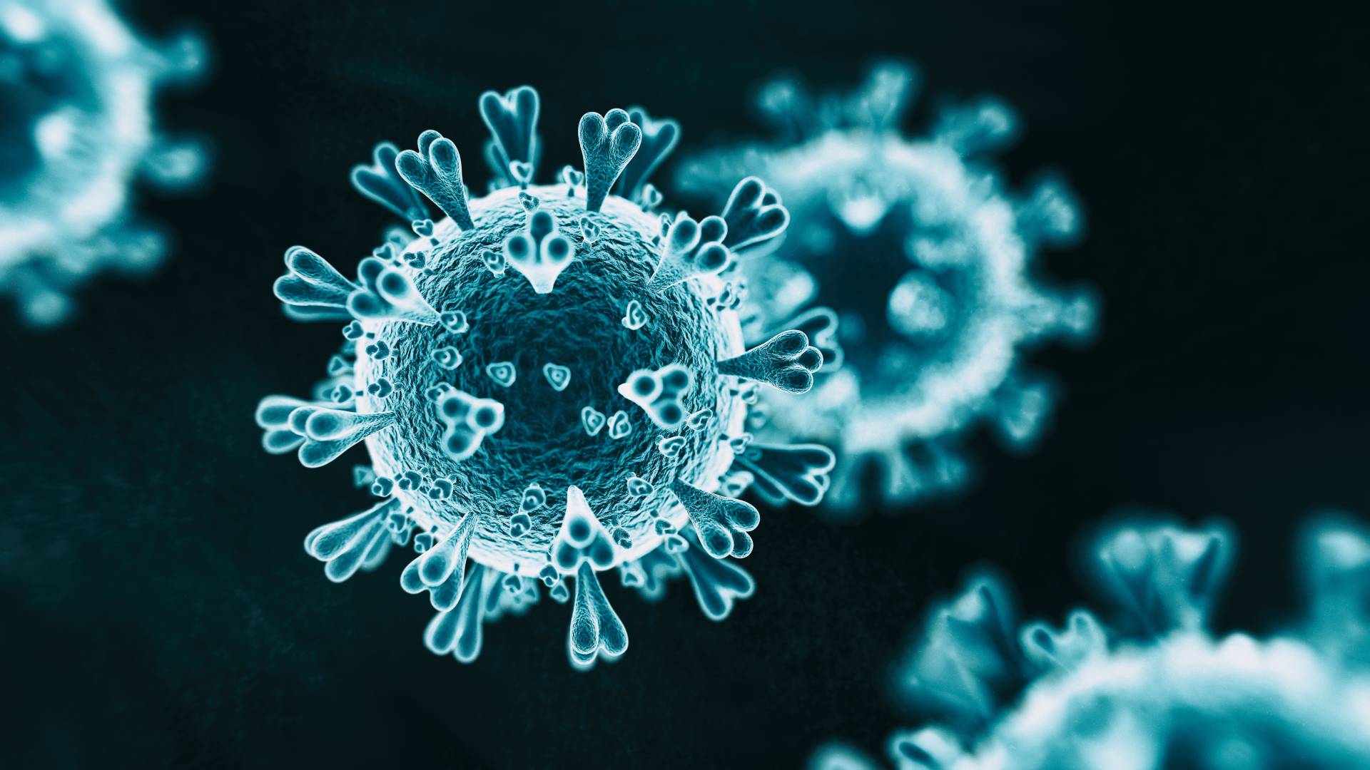 Koronavirus