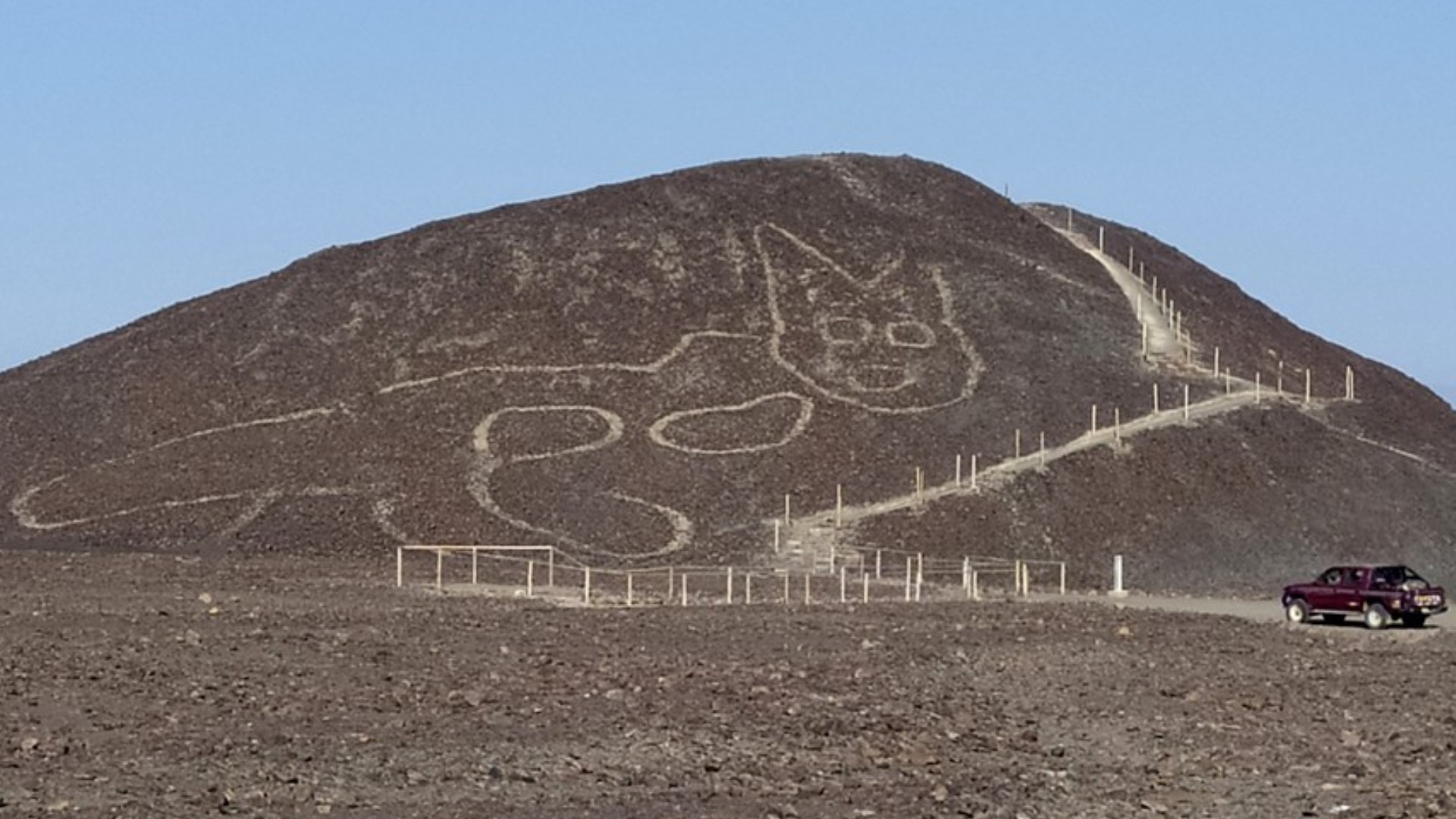 Obrazec kočky na planině Nazca
