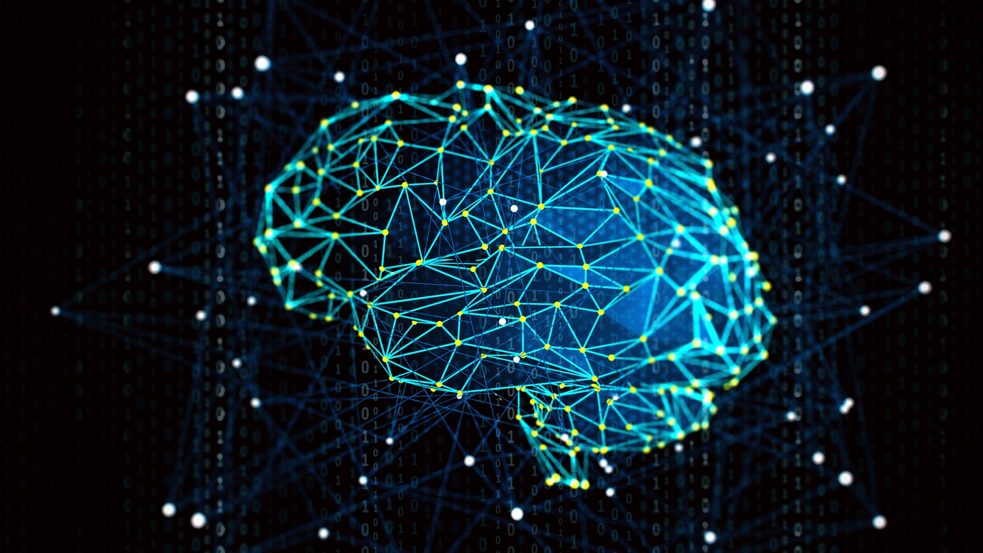 Odhalí Blue Brain Project tajemství mozku?