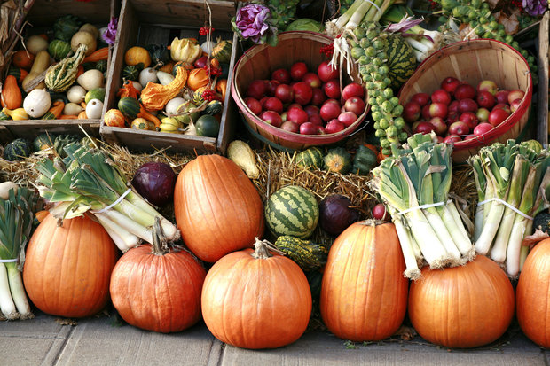 podzimní zelenina a ovoce Foto: 