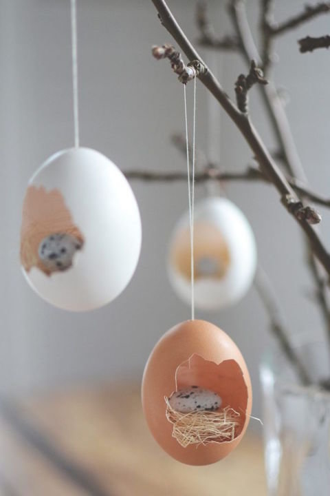 vajíčka ve vajíčku Foto: 
