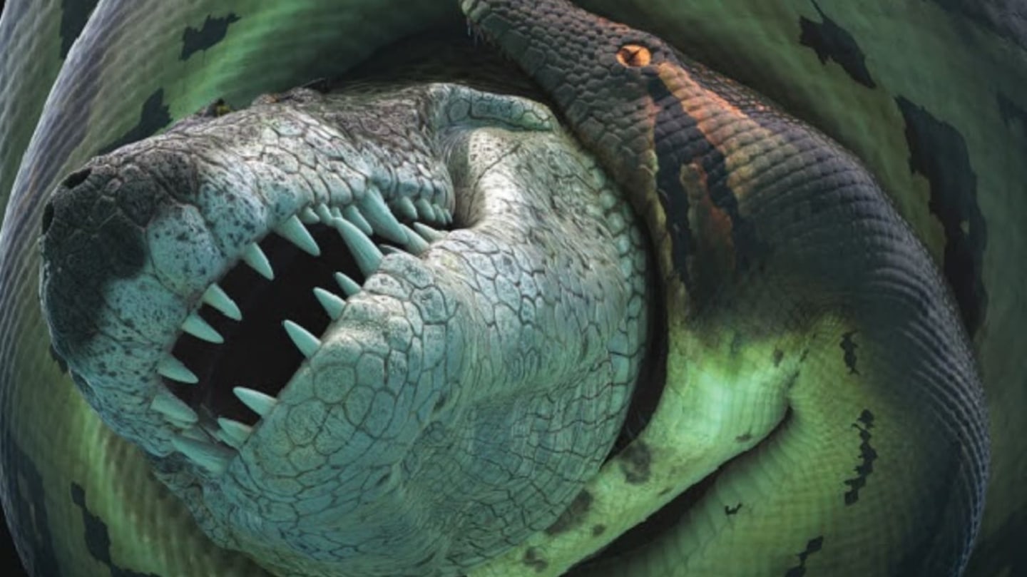 Titanoboa Nejvetsi Had Na Svete Polykal Krokodyly Zaziva Prima Zoom