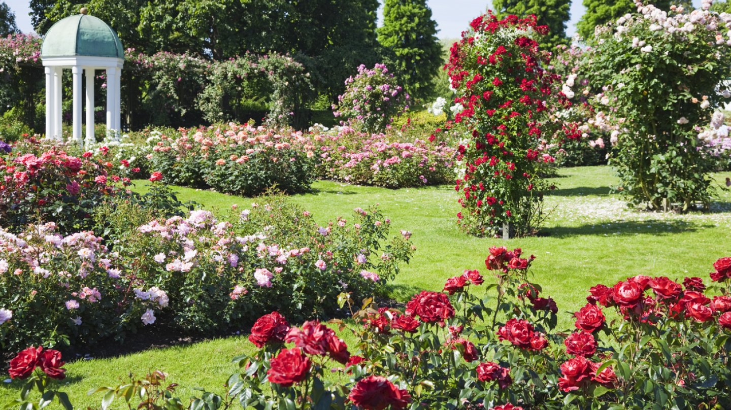 10 nejkrasnejsich ruzovych zahrad vydejte se za romantikou prima living