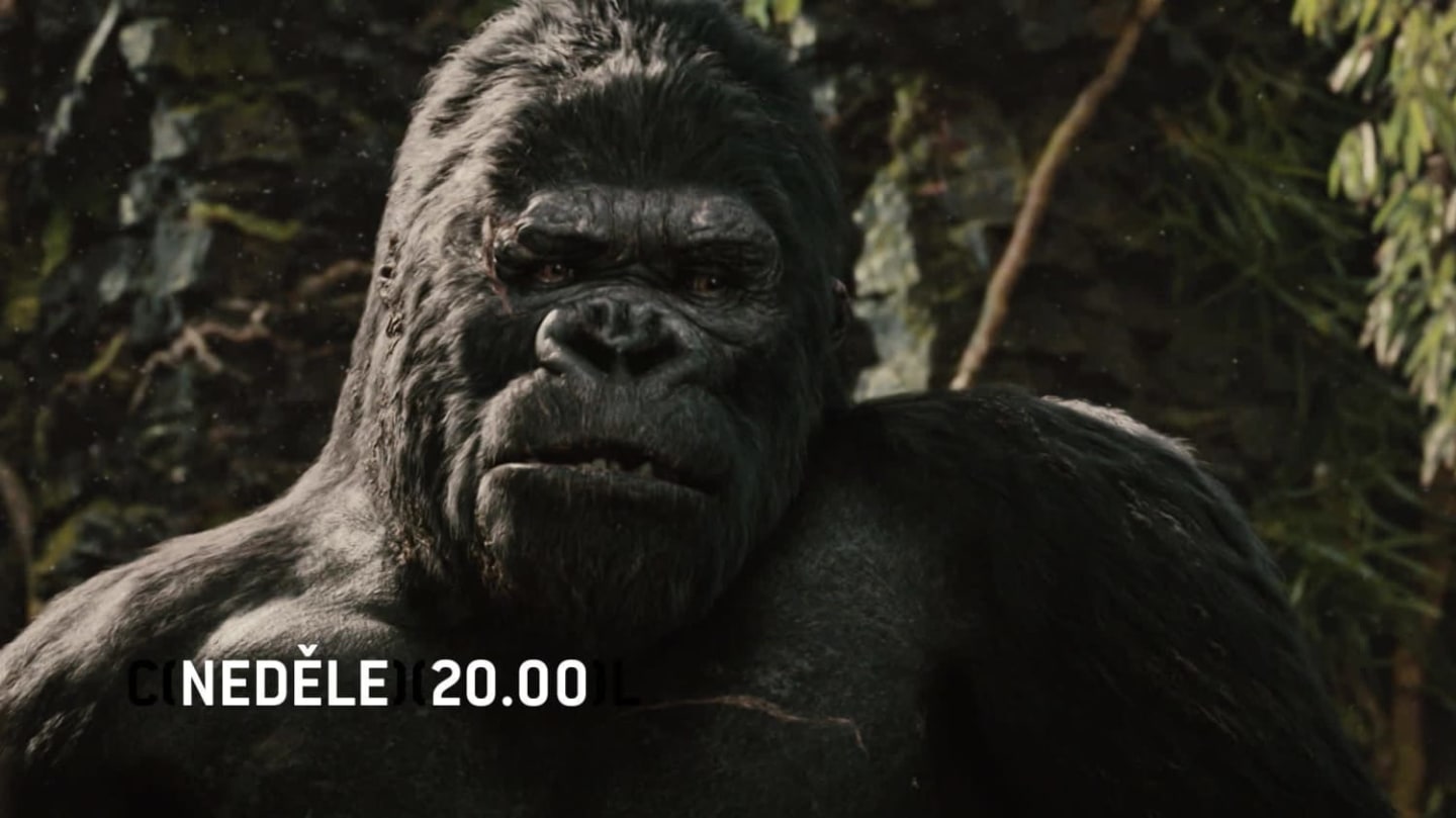 Горилла кинг конг. Видео про конга. Кинг конг 2008. Кинг конг 2005 мэнни. «кинг-конг» (2005г.