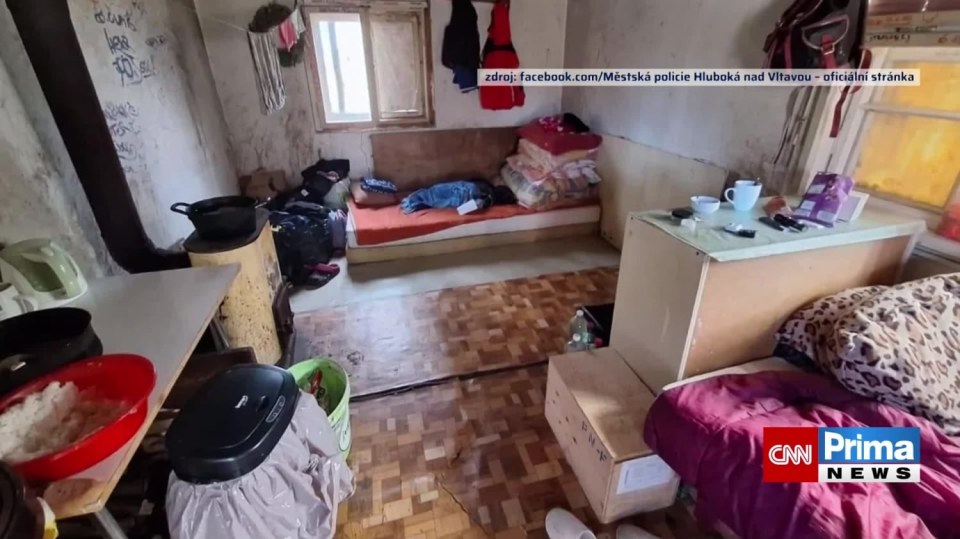 Děti odebrané matce v Hluboké nad Vltavou zůstávají v péči úřadů
