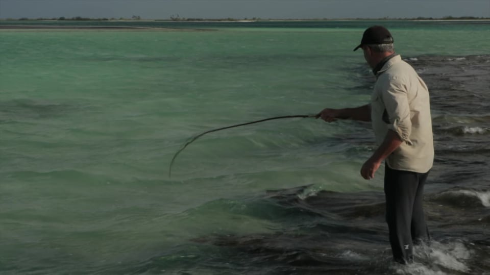 Lovec rybích obrů S5 (6) - Pacifický bojovník