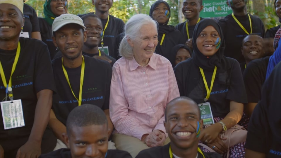 Neúnavná aktivistka Jane Goodallová oslavila neuvěřitelné jubileum