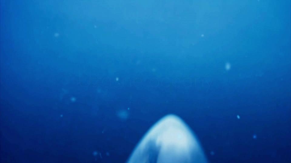 Žralok (1) - upoutávka