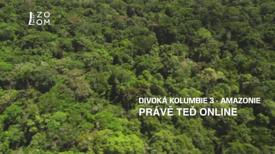 Divoká Kolumbie 3 - Amazonie Upoutávka HbbTV