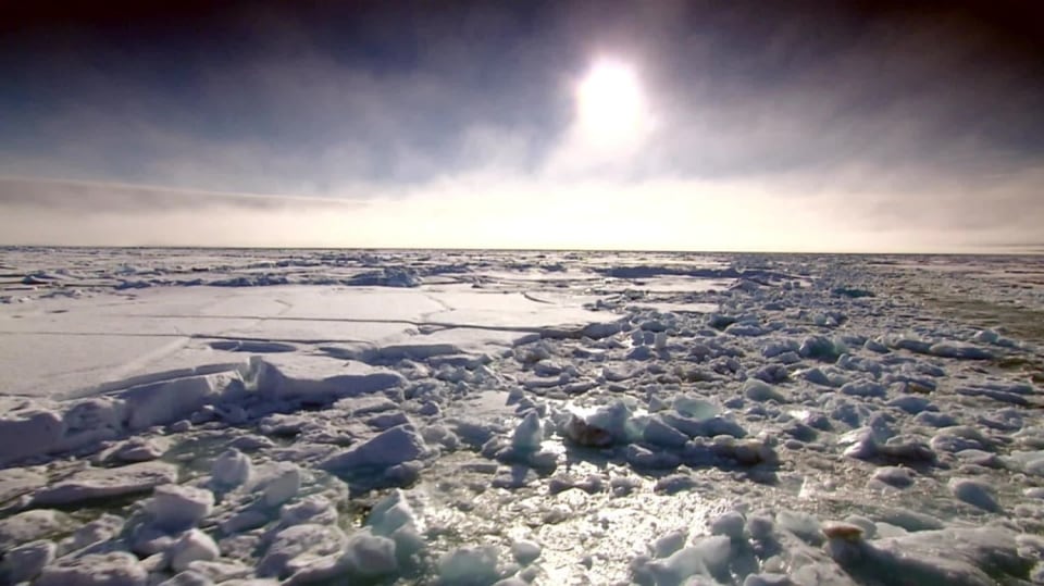 Tajemství Arktidy (1) - upoutávka