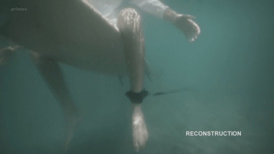 Když žraloci útočí S7 (6) - Andrew Lindop