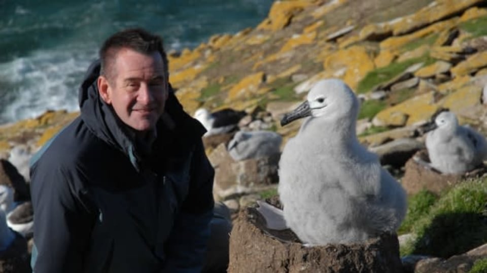 Na Falklandy s Nigelem Marvenem