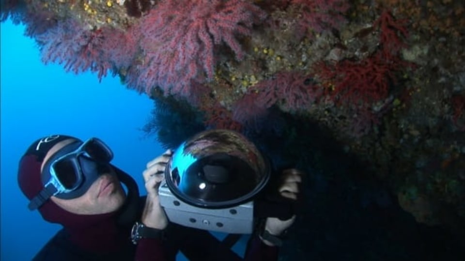 Podmořská dobrodružství: 24 hodin na útesu