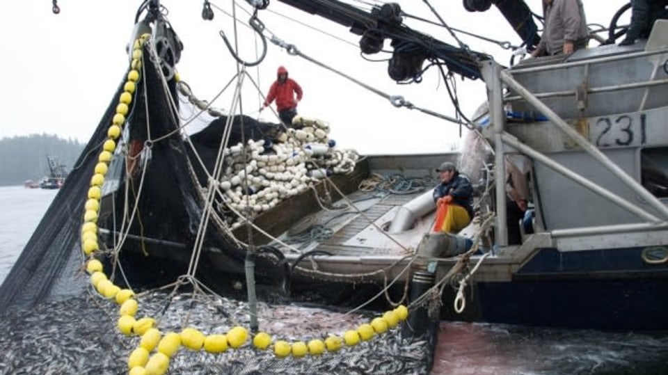 Mořští kovbojové: Honba za lososy