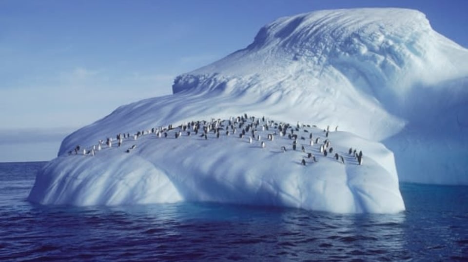 Za tučňáky na Antarktidu