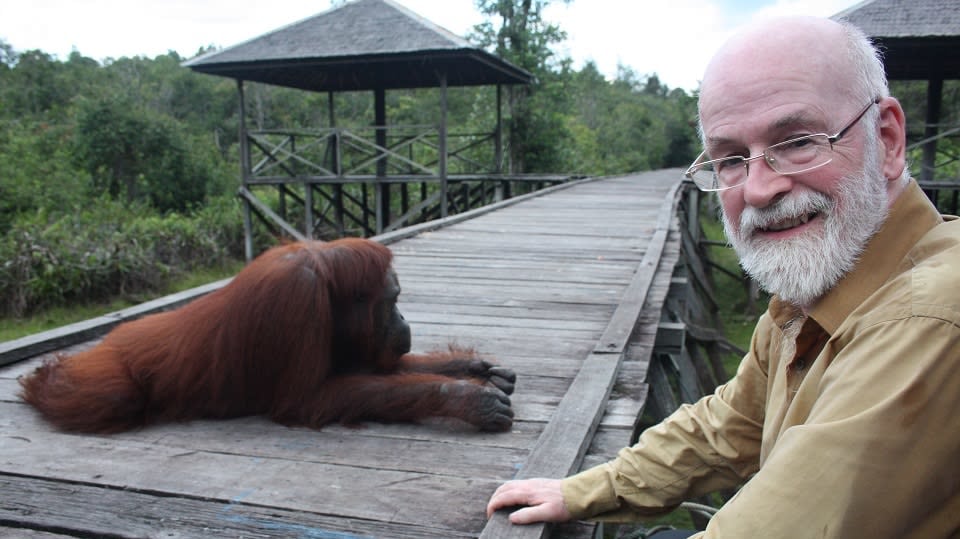 Terry Pratchett: Cesta za orangutany