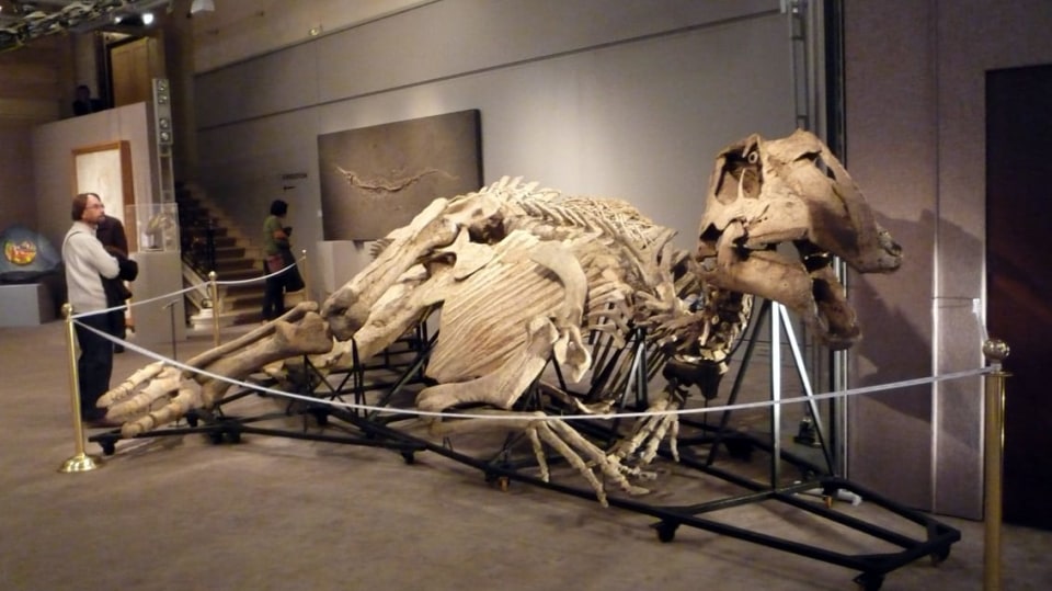 Tajemství dinosauří mumie