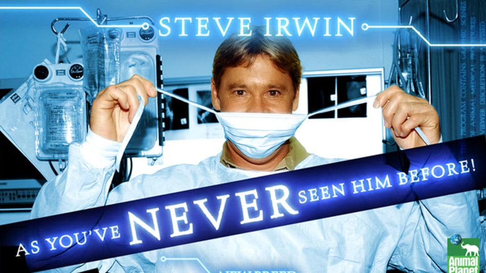 Moderní veterináři se Stevem Irwinem