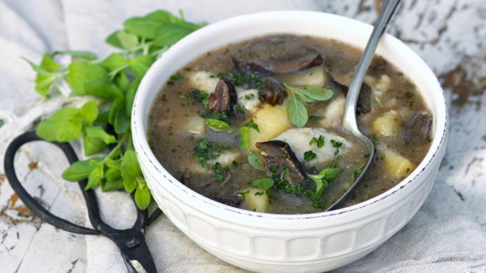 Proslulá houbová polévka tety Růži Proslulá houbová polévka tety Růži
