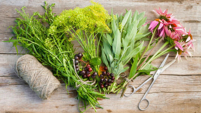 Naturopatií proti chřipce a nachlazení Naturopatií proti chřipce a nachlazení
