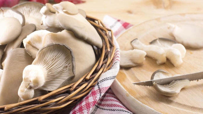 Hlíva ústřičná má skvělou, výrazně aromatickou chuť Hlíva ústřičná má skvělou, výrazně aromatickou chuť