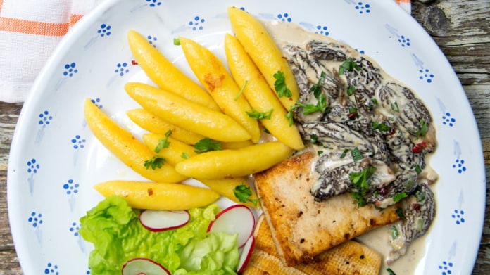 Smetanová omáčka se smrži a opékaným tofu Smetanová omáčka se smrži a opékaným tofu