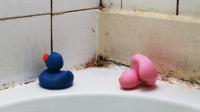 Plíseň produkuje alergeny, které mohou u lidí, jež se v tomto prostředí dlouhodobě pohybují, způsobit například rýmu podobnou té senné Plíseň produkuje alergeny, které mohou u lidí, jež se v tomto prostředí dlouhodobě pohybují, způsobit například rýmu podobnou té senné