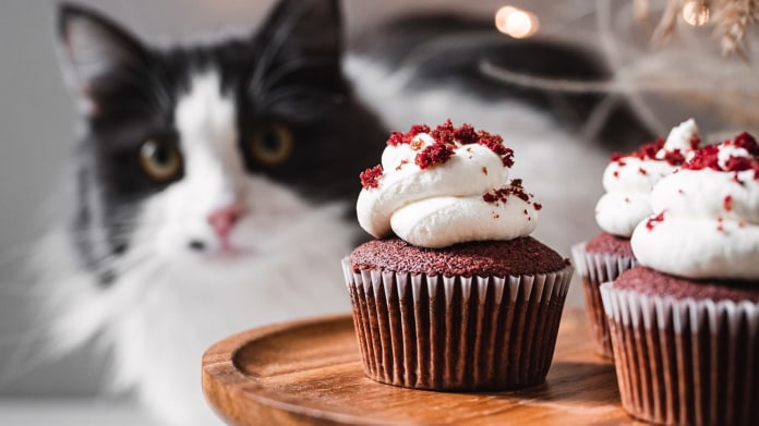 Red velvet cupcakes s vanilkovým krémem podle Cat & Cook Red velvet cupcakes s vanilkovým krémem podle Cat & Cook
