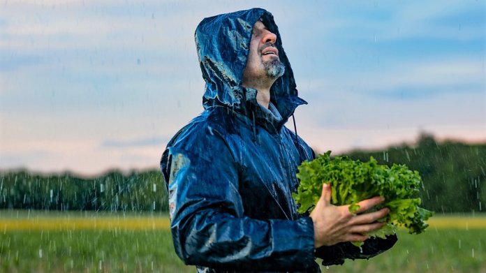 Přinese Medard chladné a deštivé počasí? Pěstujte tradiční českou zeleninu, které tento způsob léta vyhovuje Přinese Medard chladné a deštivé počasí? Pěstujte tradiční českou zeleninu, které tento způsob léta vyhovuje