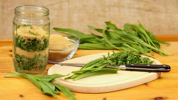Jitrocelový sirup Jitrocelový sirup