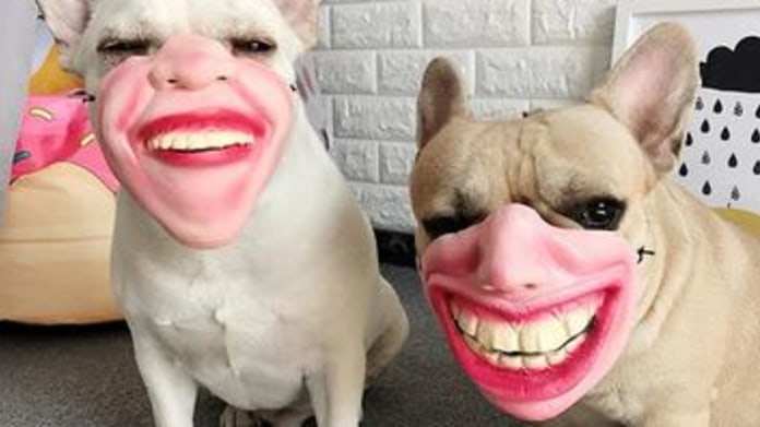 Pořídili byste některý svému miláčkovi? Pořídili byste některý svému miláčkovi?