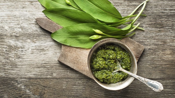 Voňavé domácí pesto z medvědího česneku Voňavé domácí pesto z medvědího česneku