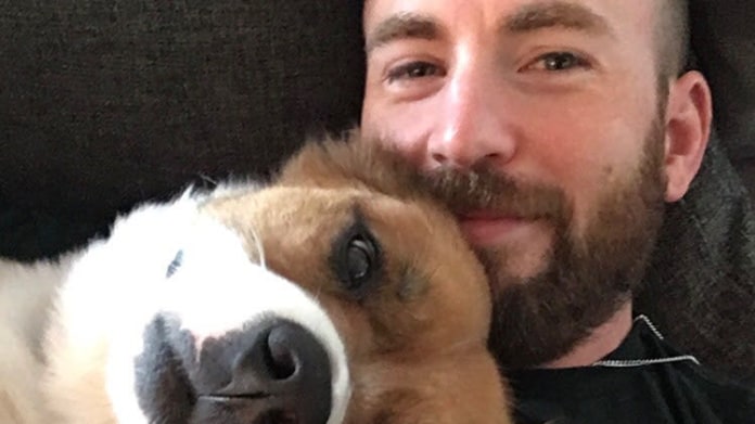 Chris Evans a jeho kérky 1 Chris Evans a jeho kérky 1
