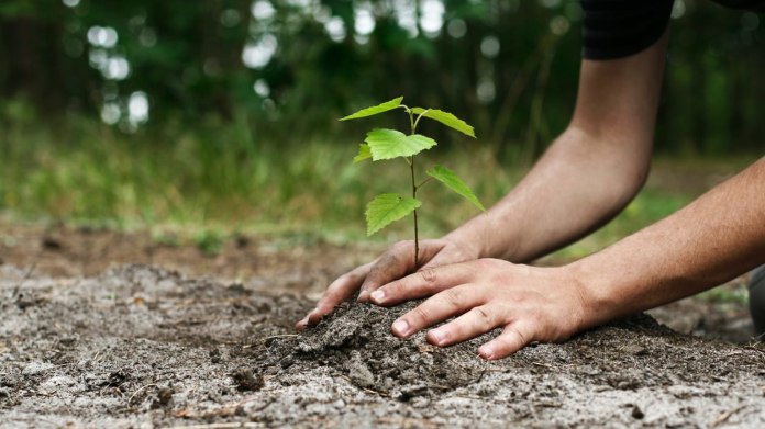 Jak bojovat se změnami klimatu? 1 Jak bojovat se změnami klimatu? 1