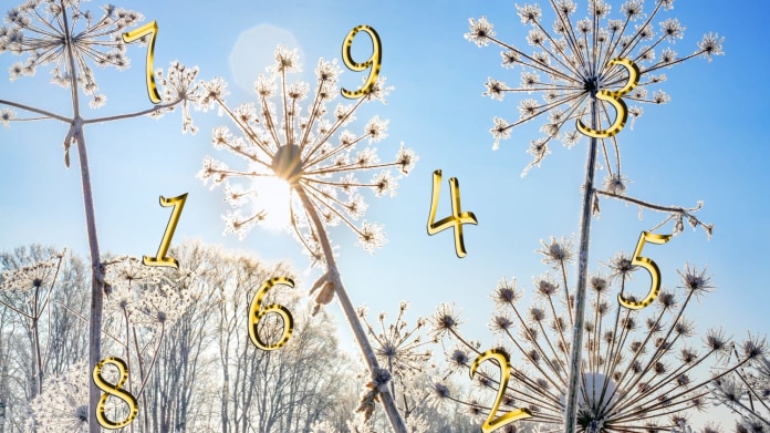 Leden podle numerologie Leden podle numerologie