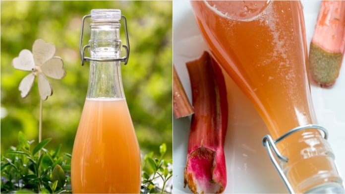 Domácí rebarborový sirup Domácí rebarborový sirup