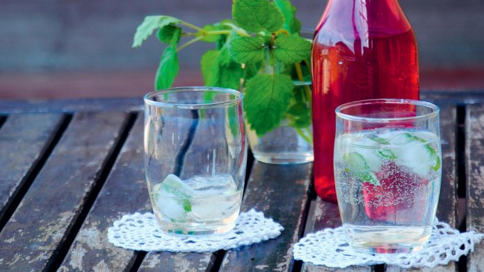 Domácí meduňkový sirup Domácí meduňkový sirup