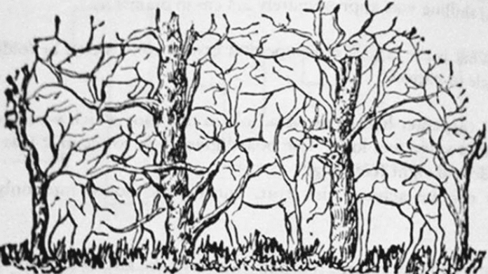 Test osobnosti Test osobnosti