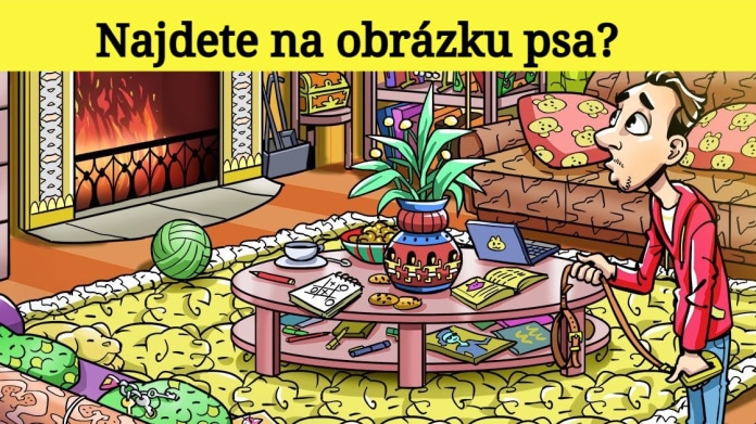 Najdete na obrázku psa? 3 Najdete na obrázku psa? 3