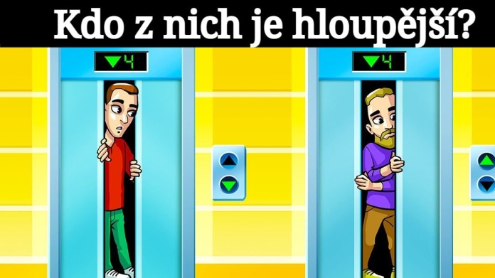 Kdo z nich je hloupější? 3 Kdo z nich je hloupější? 3